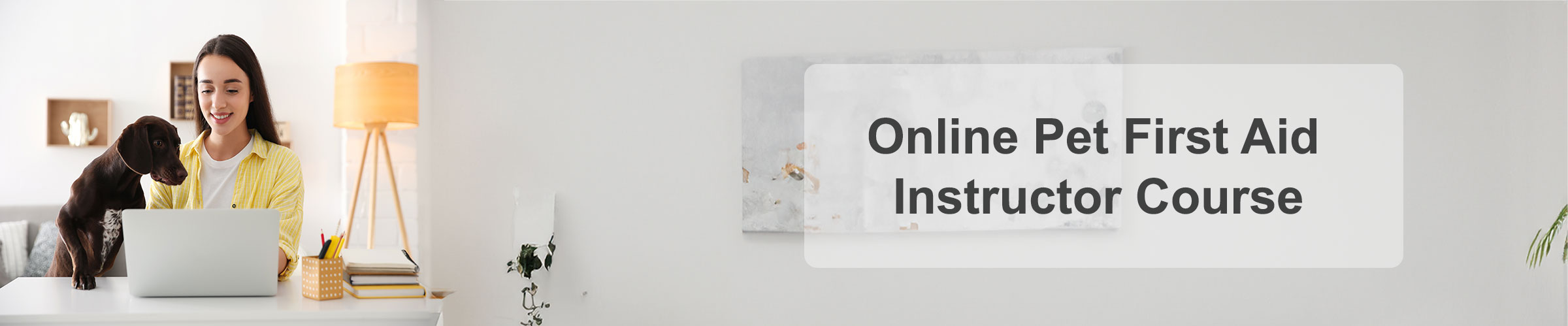 online course pet first aid instructor