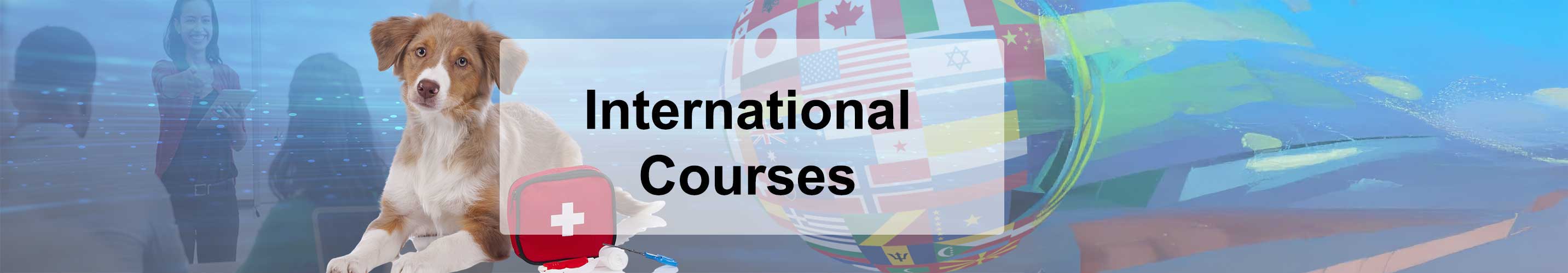 international first aid courses and trainer courses