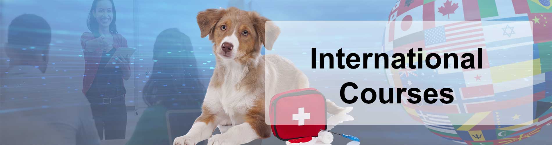 international first aid courses and trainer courses