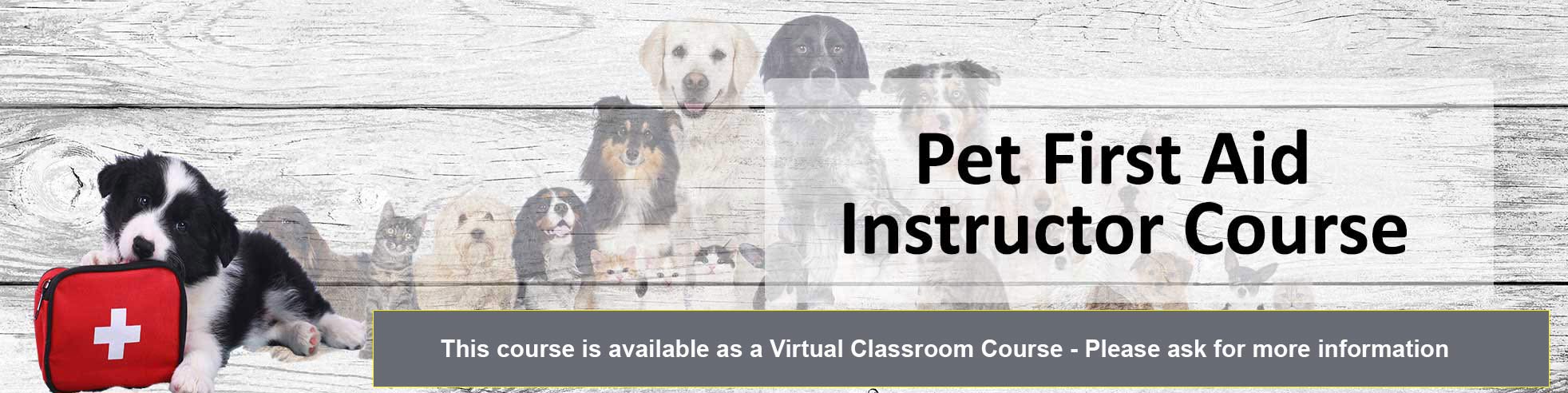 pet-first-aid-instructor-training-propet-virtual-and-classroom